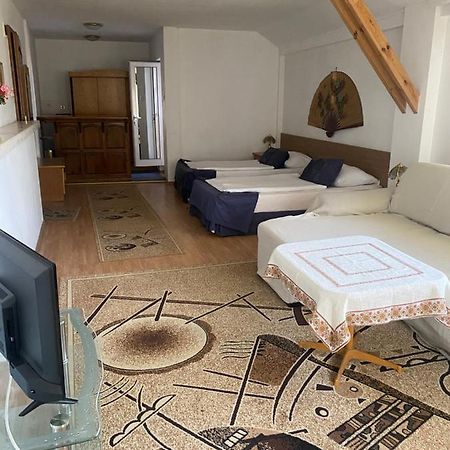 Family Hotel Zdravets ソフィア エクステリア 写真