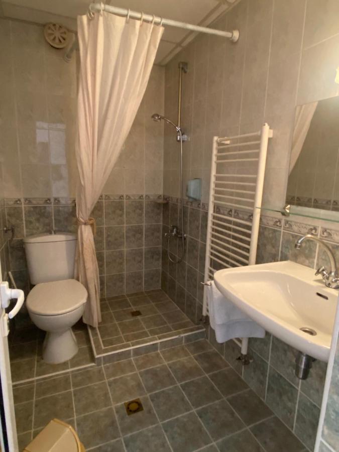 Family Hotel Zdravets ソフィア エクステリア 写真